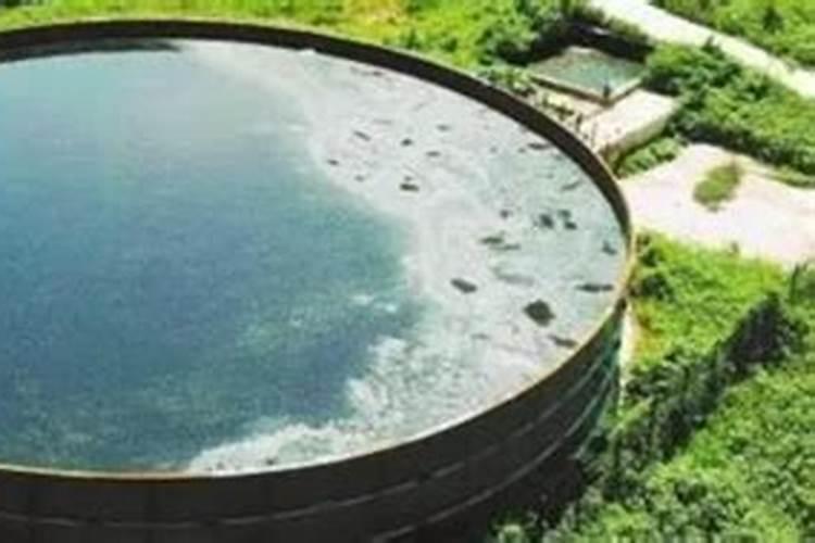 沼气液种树前能否当底肥使用