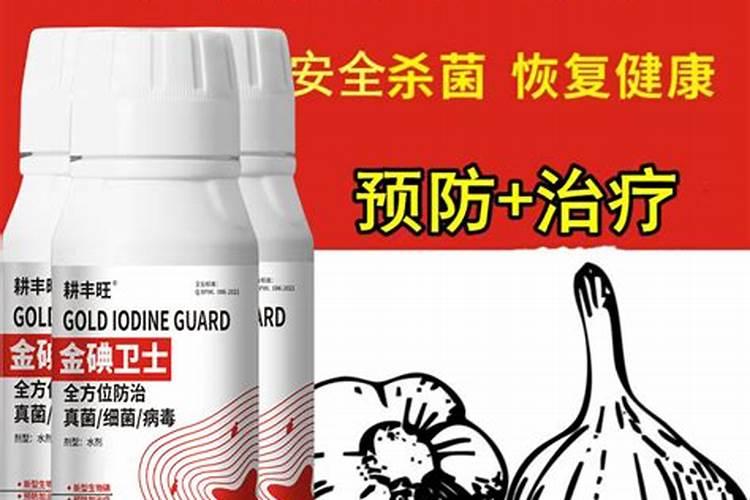 大蒜浸种用什么药好