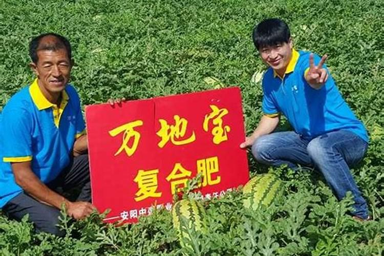 铵态氮是什么肥料
