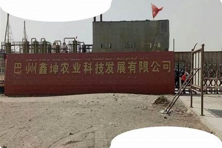 玉米田能用硫酸钾复合肥吗 可用作种肥和根外追肥