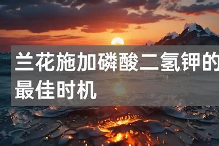 黄瓜用什么肥料产量高