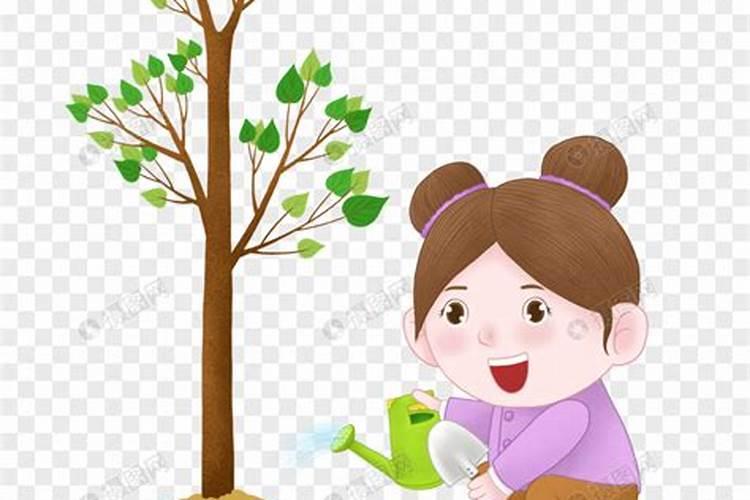 沙糖桔黄化病怎么治