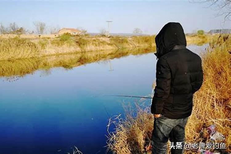 小麦防冻专用叶面肥 小麦防冻措施