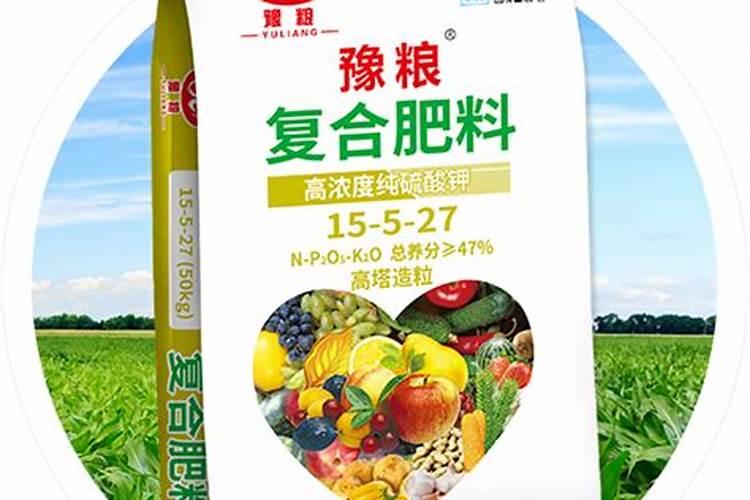 盆栽荷花怎么施肥