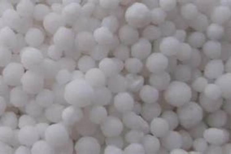 叶用芥菜种植技术是怎样的？如何进行科学施肥呢？