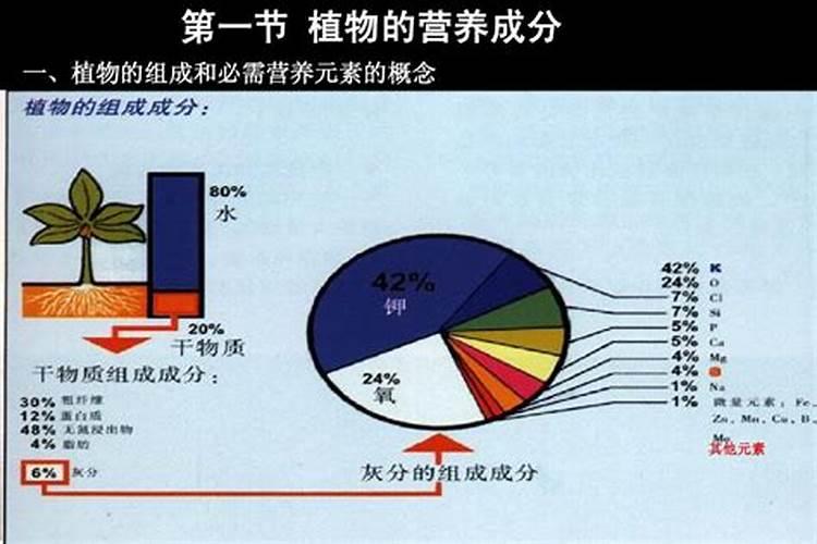 川西和甘南的区别