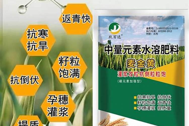 最高温度14度,最低5度能喷施叶面肥与杀菌剂吗？