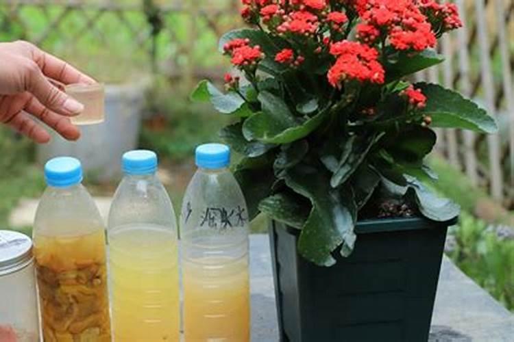 磷酸二氢钾作为花肥该如何使用