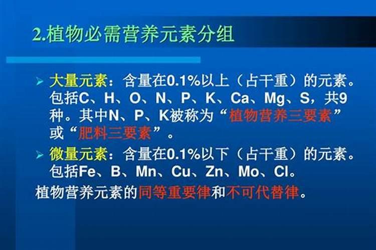大量元素名词解释