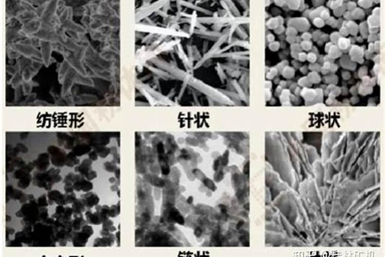 鸡蛋壳水适合什么花？