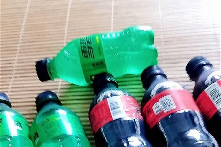 鸡蛋壳适合种什么植物