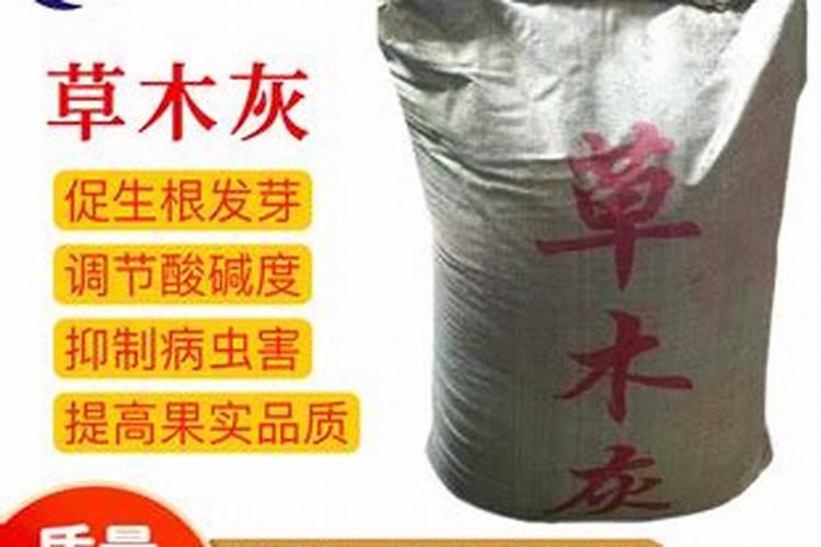 黑金公司现状是谁造成的