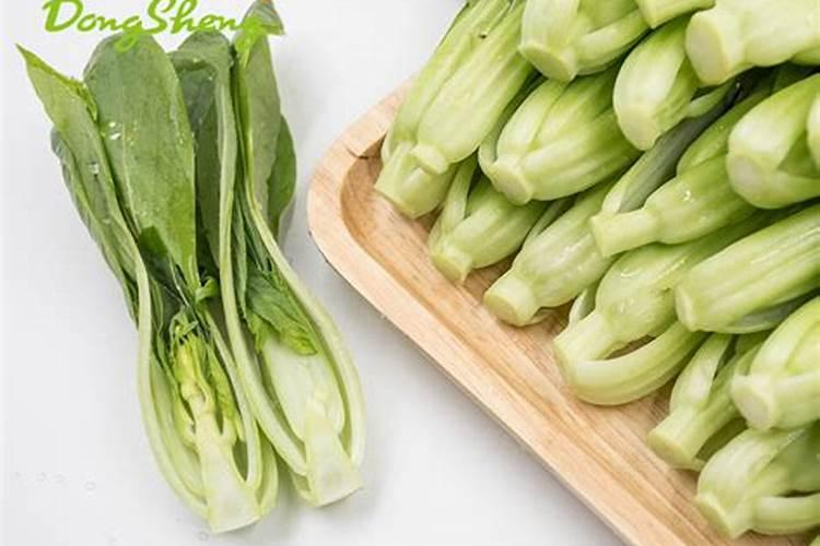 请问青菜叶面发黄什么原因？