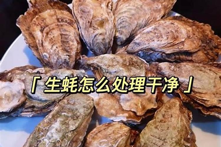 生蚝壳能不能放入月季花？
