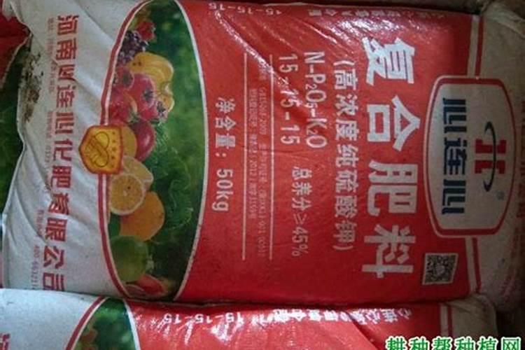 葡萄施肥用什么肥料好