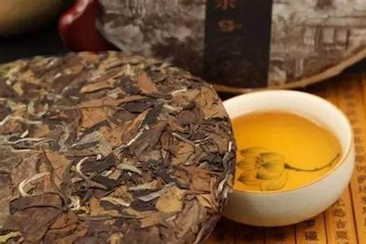 种植茶叶要注意的事项
