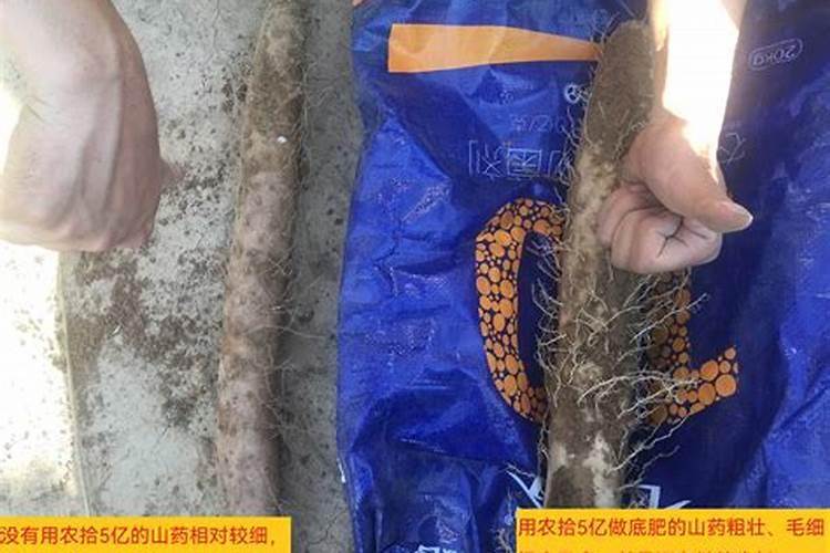 种植山药氮肥什么时候施磷肥什么时候施钾肥什么时候施