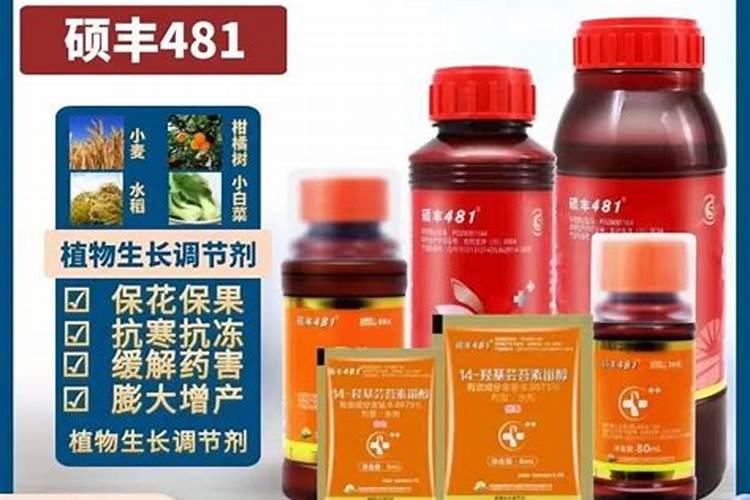 芸乐收多少钱一箱？
