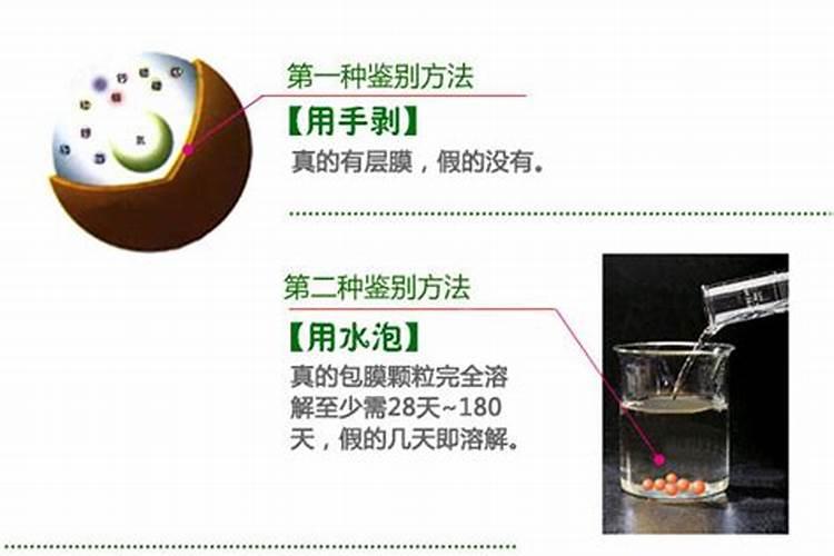 大岩桐小苗怎么养才长得好 大岩桐小苗如何养才长得好