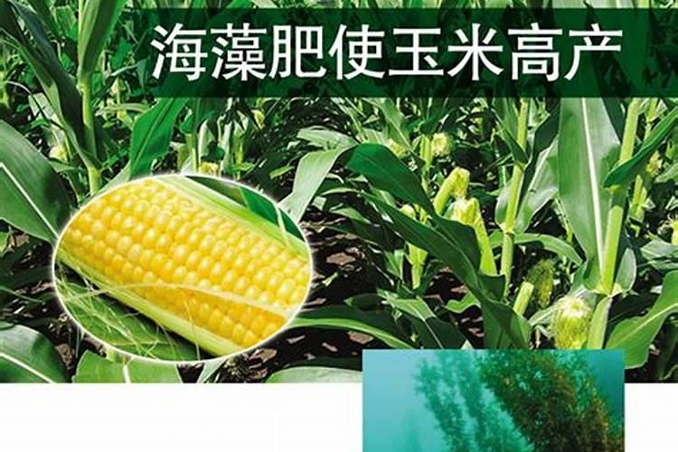 磷酸二氢钾在蔬菜上怎么用化肥料o？