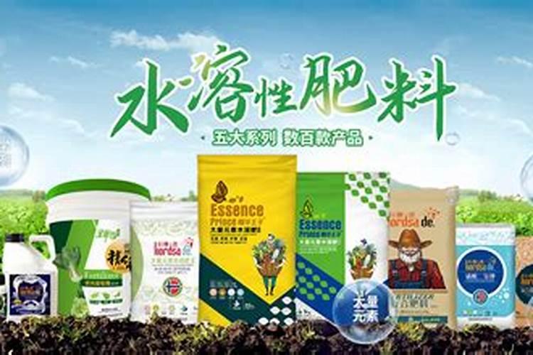 辣椒苗都种了好几个月了才这点大,肥料我也施过。感觉我的辣椒苗没有人 ...