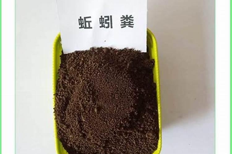 南通coco奶茶怎么加盟单店,coco南通区域代理