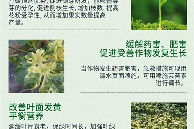 复合肥的主要成分比例