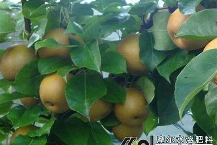 深圳市溢美化妆品有限公司怎么样？