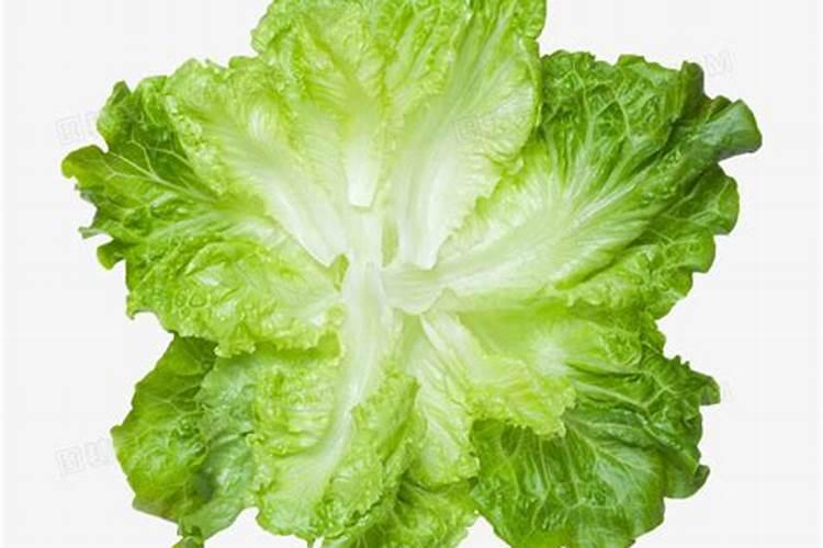 叶菜用什么叶面肥好呢？