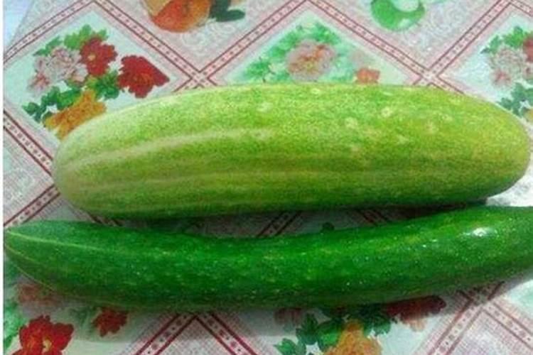 青瓜施什么肥最好