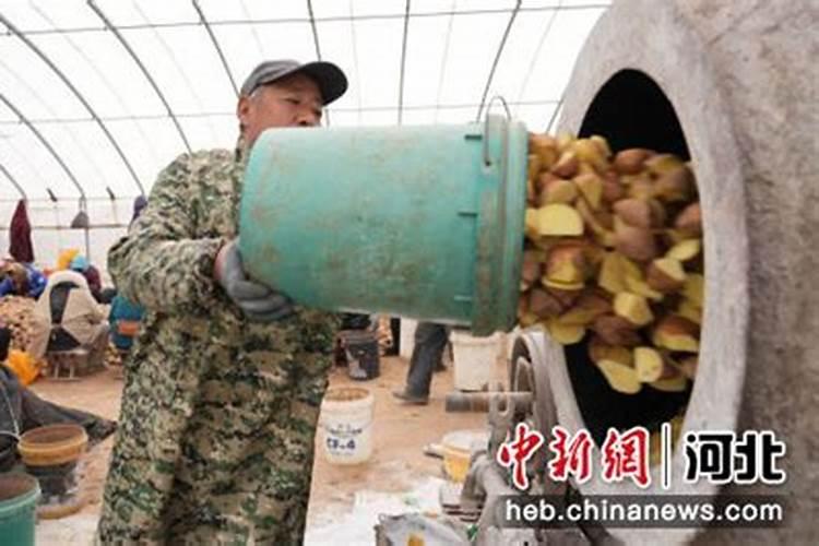 土豆专用肥里含氯可以吗