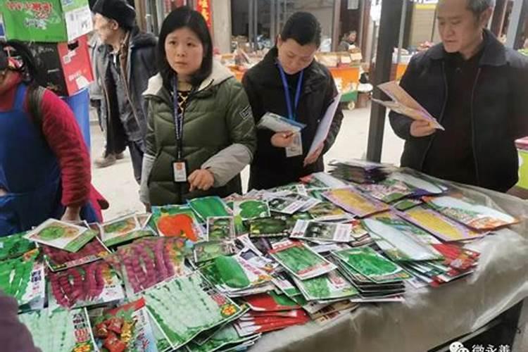 金正大控释玉米专用肥261212多少钱一吨