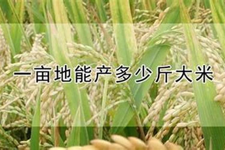 水稻一亩需要的氮磷钾