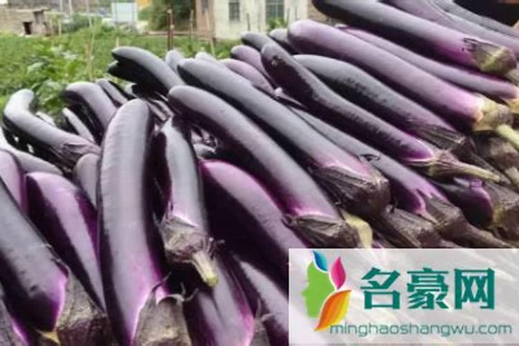 叶绿素叶面肥喷在秧田里能用几次吗？