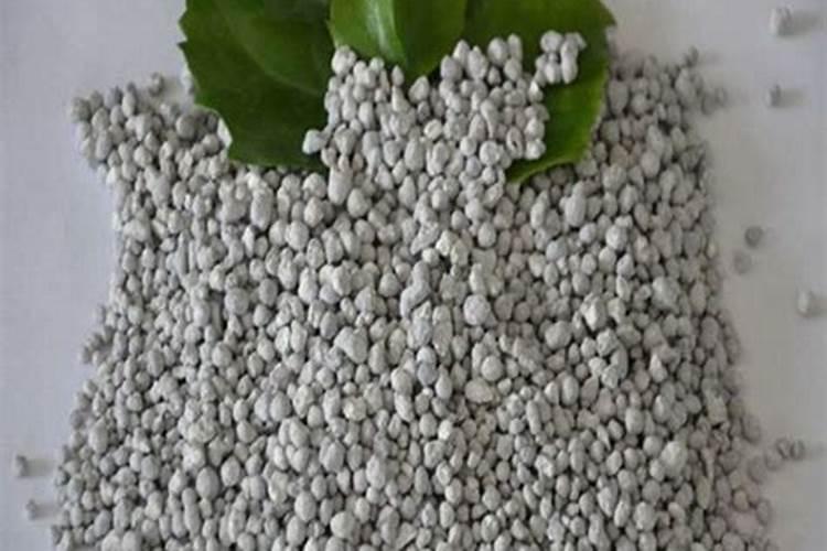 我现在种植杉树,每棵用100克钙镁磷肥做基肥,请问这样会对树苗的根系产生...