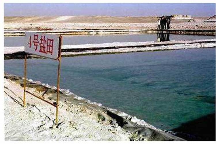 罗布泊针状大量元素水溶肥的特点是什么？