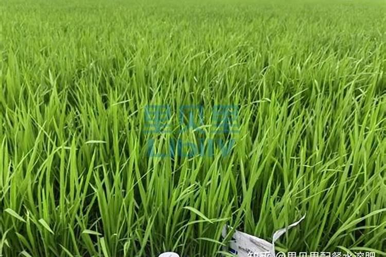 为什么铵盐氮肥不能与碱性物质混合使用？