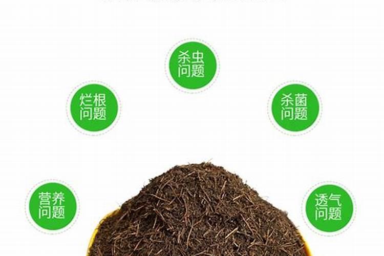 为什么下雨后撒尿素好