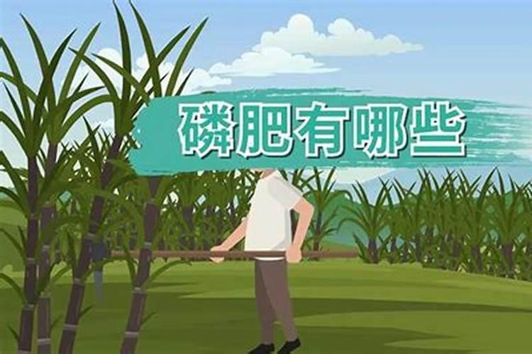 芝麻追肥用什么肥料 什么时间施更合适