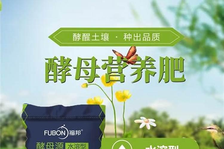 请问黄腐酸、氨基酸、腐植酸的作用和区别有哪些？