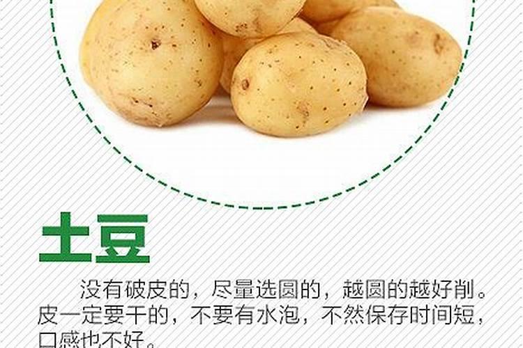 阳台蔬菜 施哪些肥