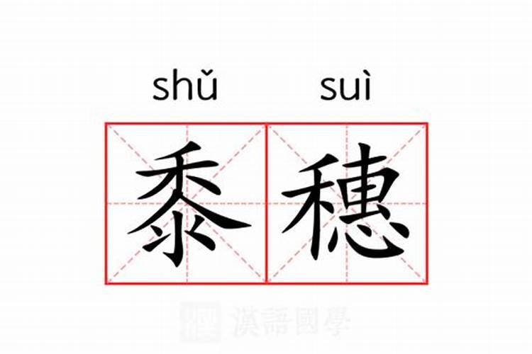 水稻叶面肥什么时候施最好水稻叶施肥注意事项