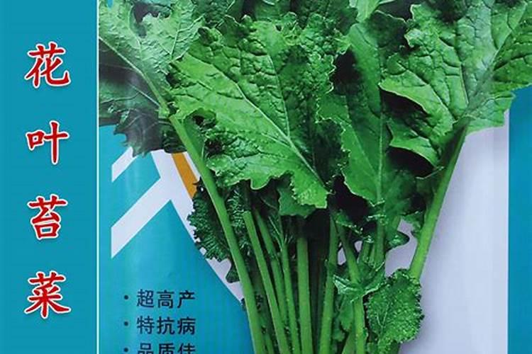 磷肥的作用