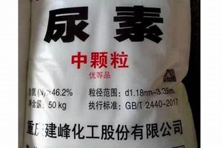 葡萄树夏季结果时怎么施肥