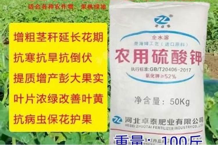 硝酸钾哪里可以买到 农用硝酸钾价格是多少钱一袋
