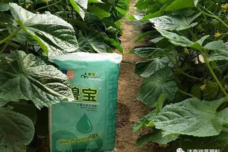 瑞莱水溶肥有哪些配方,有在葡萄上面使用的水溶肥配方吗？
