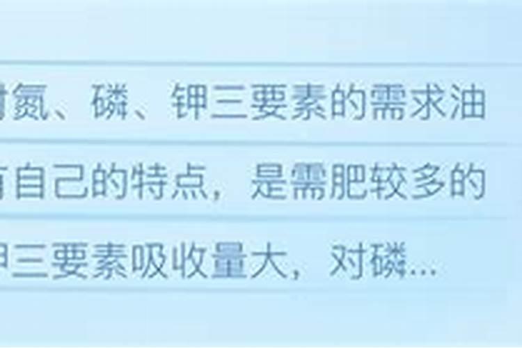 油麦菜需要什么肥料