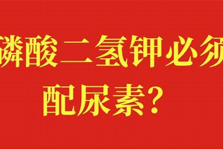 观叶植物用什么叶面肥,怎么施肥