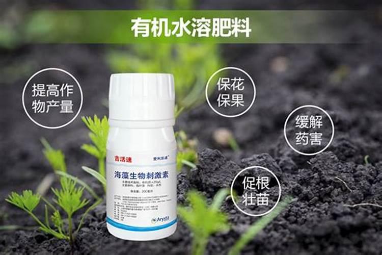 北京澳佳肥业有限公司怎么样