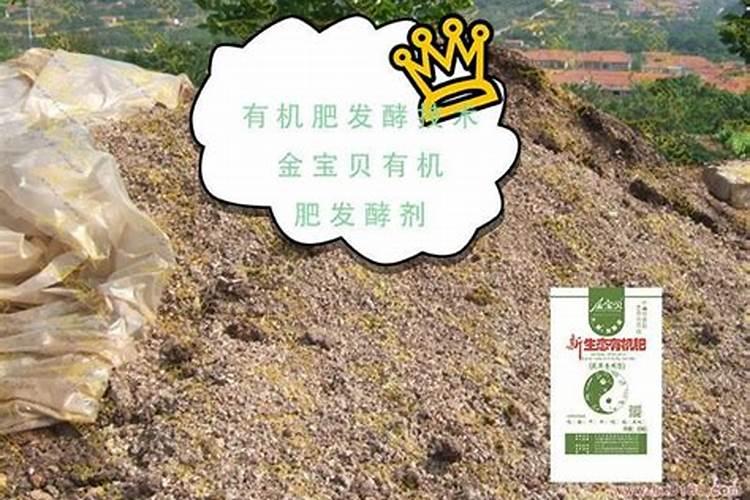 萝卜种子种植方法和注意事项